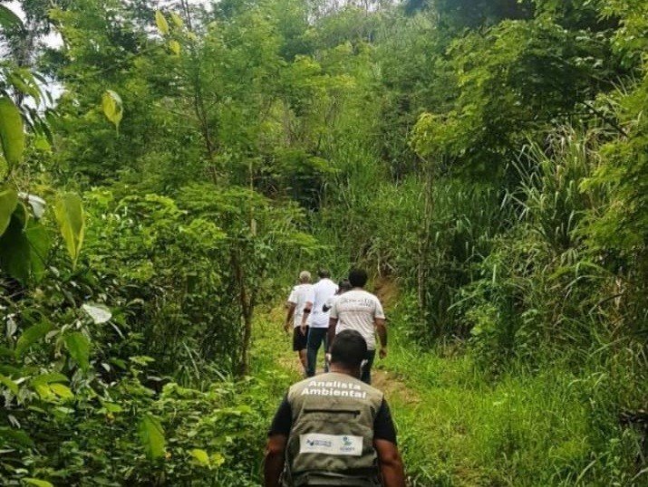 Plano Municipal da Mata Atlantica SG