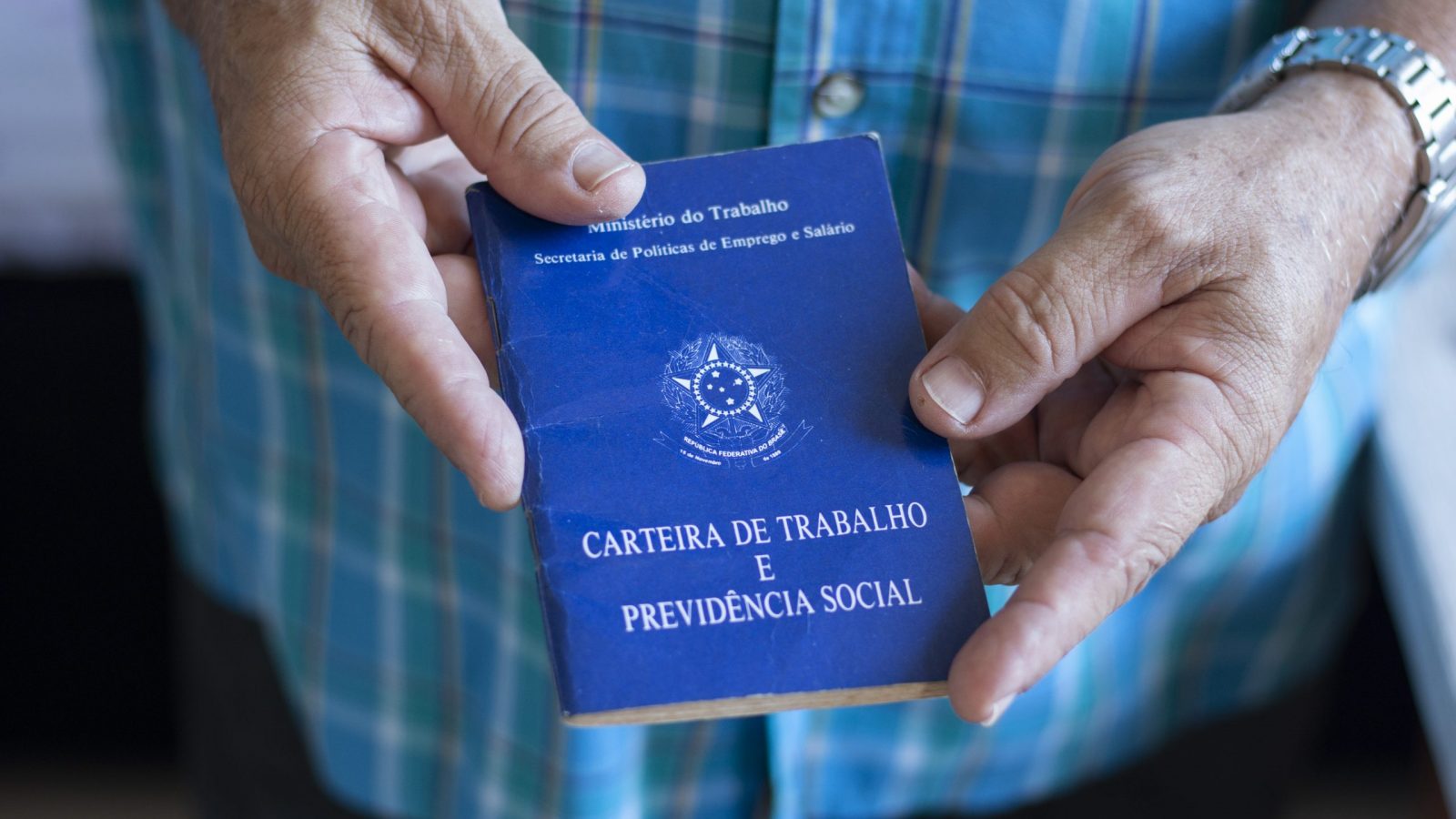 Divulgação