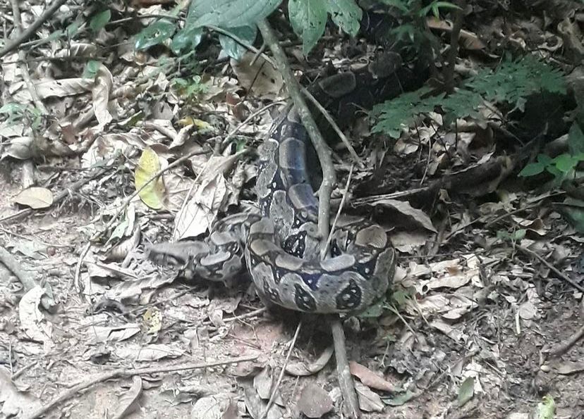 Foto: Prefeitura de Saquarema